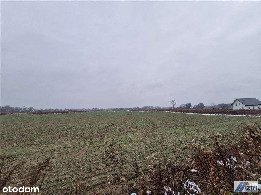 Działka rolna Wola Batorska 1,13ha-5