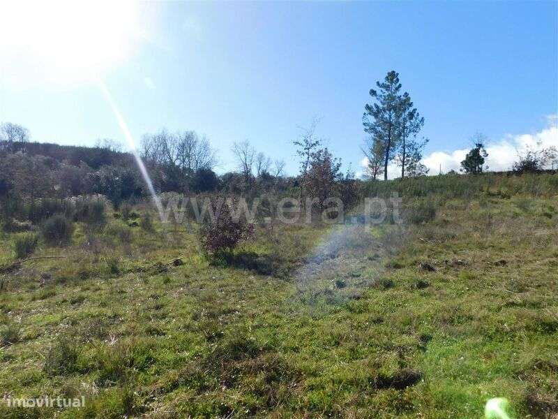 Terreno para Construção / Fundão, Pesinho - Grande imagem: 2/4