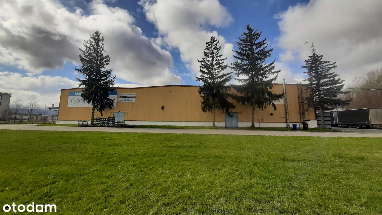 Na sprzedaż atrakcyjny kompleks magazynowy z długą umową najmu 4 870m²-7