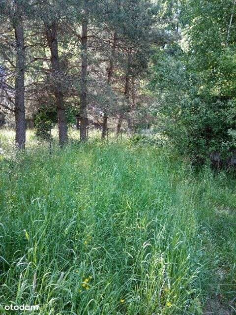 Atrakcyjna działka 1200m2 - Pełny obrazek: 3/8