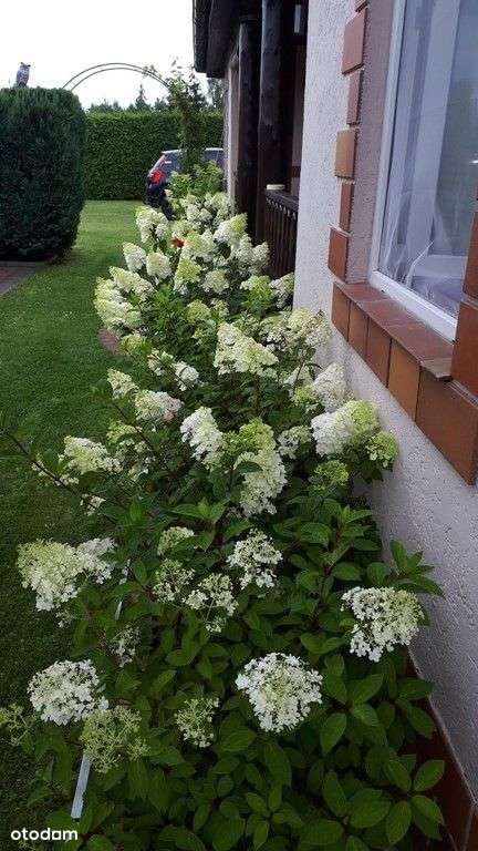 Parterowy dom nad jeziorem Woświn-14