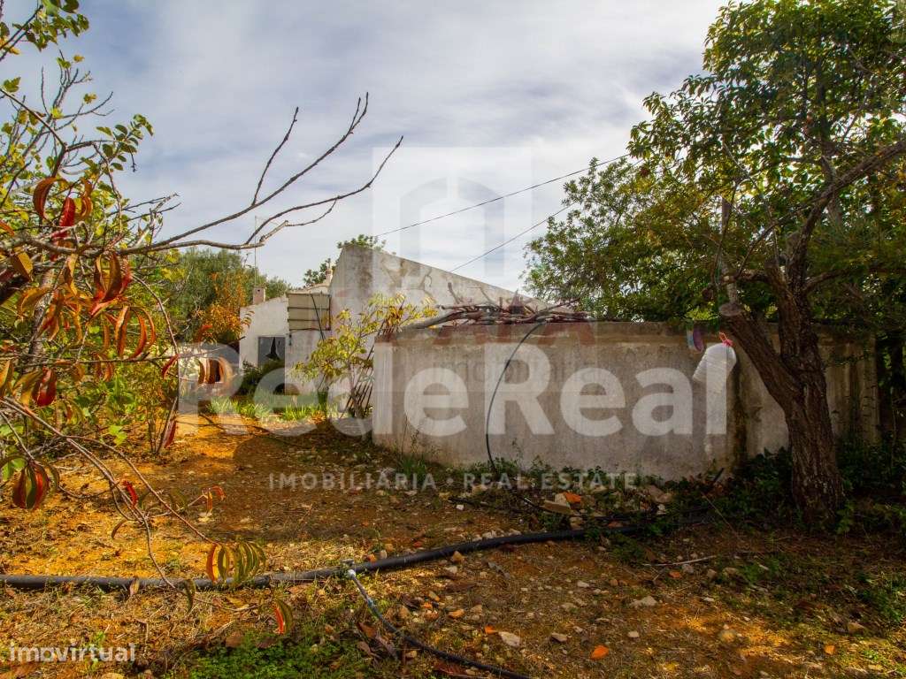 Moradia com 1. 556 hectares com furo e água da rede-10