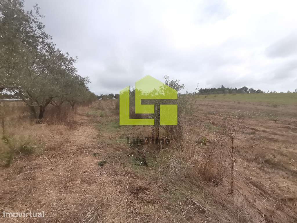 Quinta em Soure - Grande imagem: 4/13