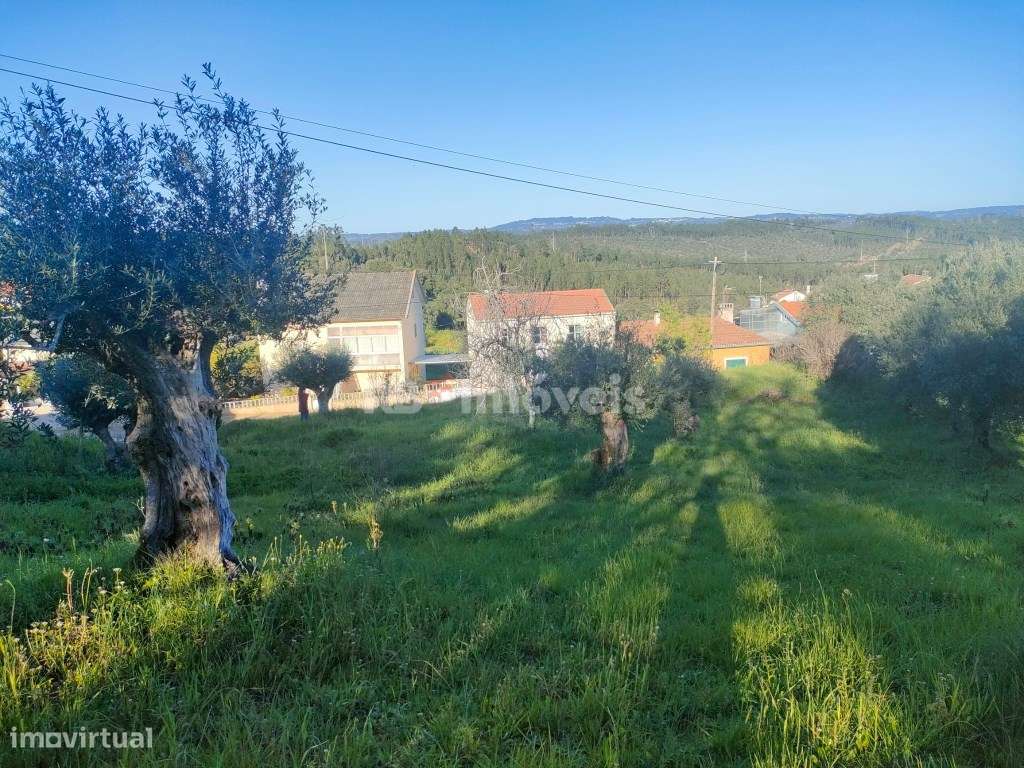 Terreno Urbano com 830m2 - São Simão, Tomar - Grande imagem: 4/6