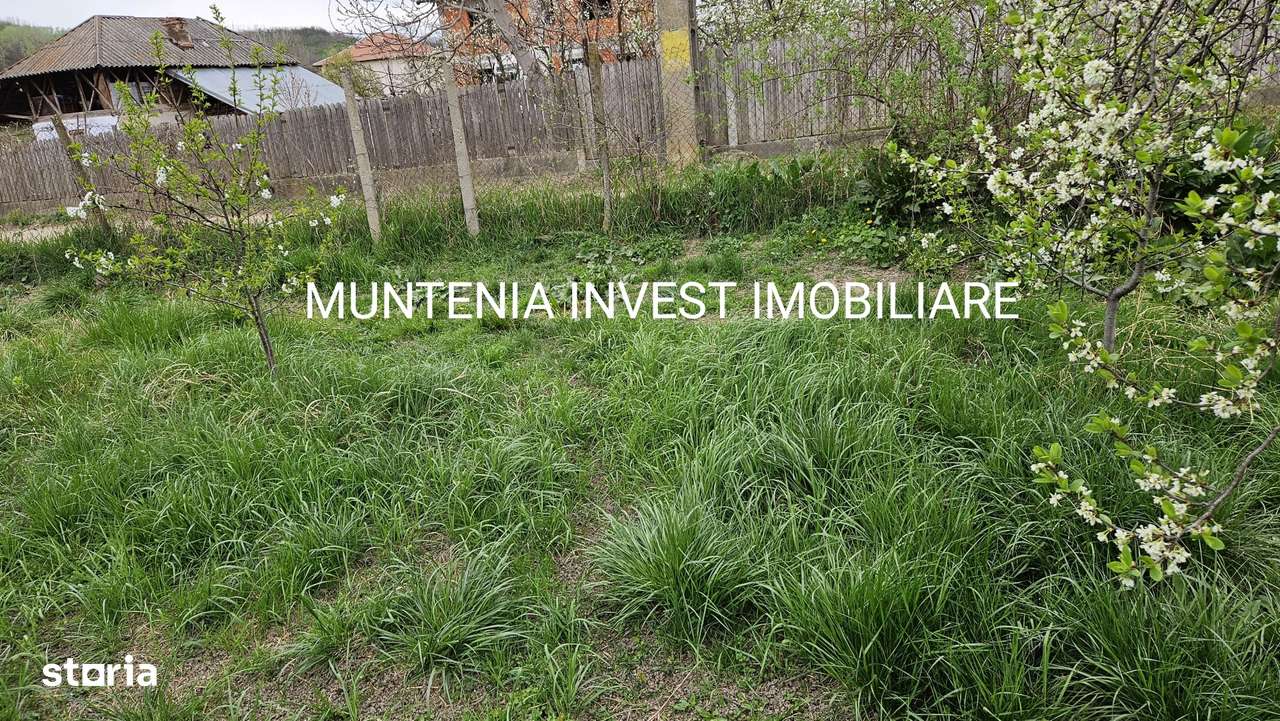 Teren 2658 mp. intravilan, Com. Bogați, sat Glambocelu - Imagine principală: 4/12