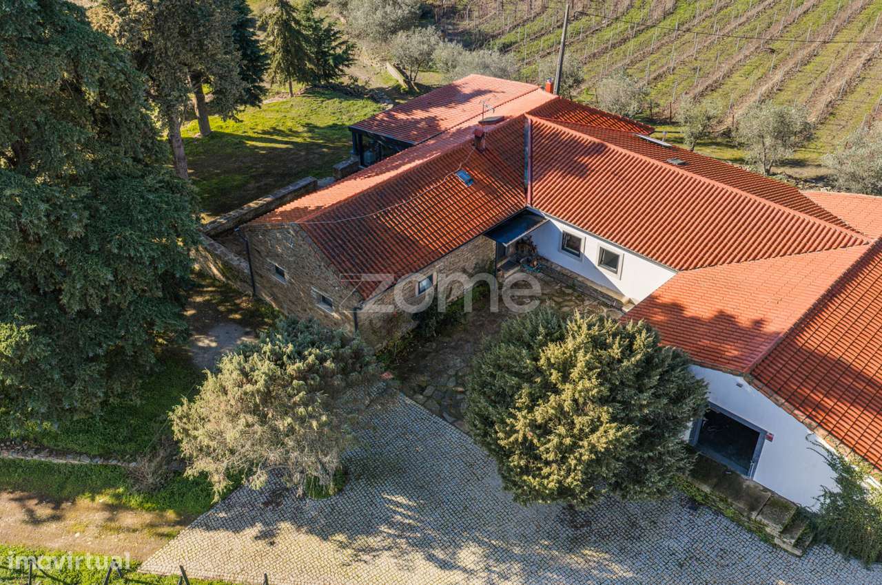 Quinta com 14 Hectares em Pleno Douro Vinhateiro - Grande imagem: 2/60
