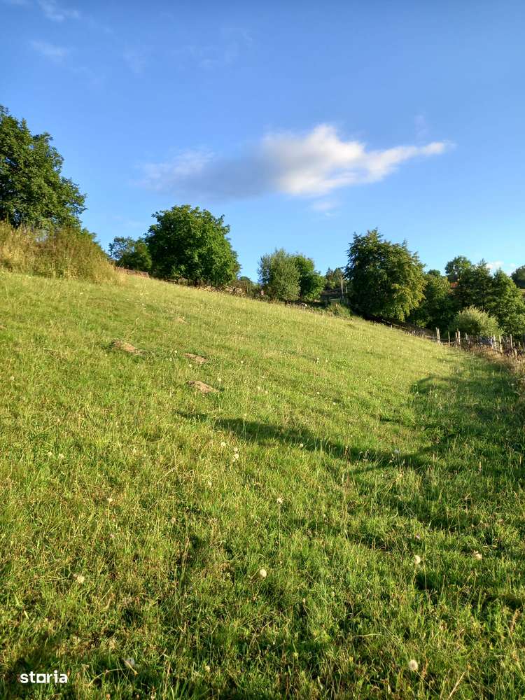 Teren intravilan cu priveliste superba catre munti, Moeciu de Jos-10