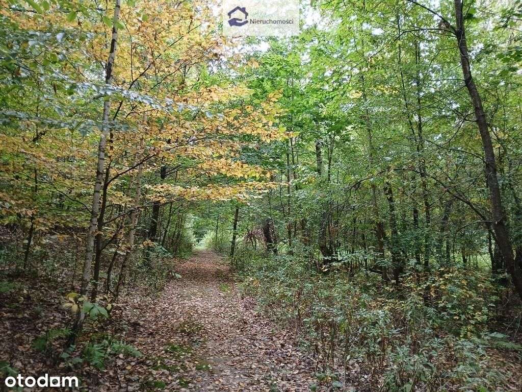 rekreacyjna *Wz dom letniskowy *Gmina Wojciechów-4