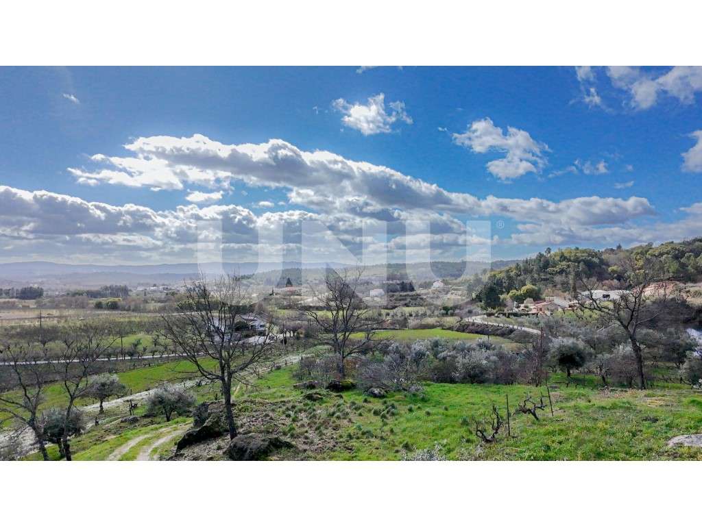 Quinta T2 com Habitação, Infraestruturas Agrícolas e Terreno com Vi...-36