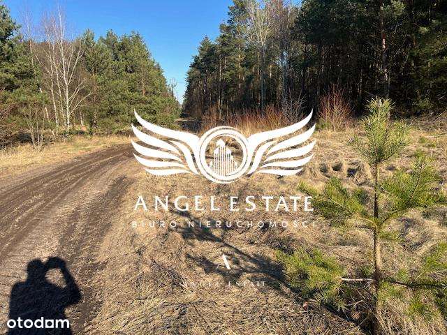 Działka inwestycyjna, Pojezierze Drawskie-4