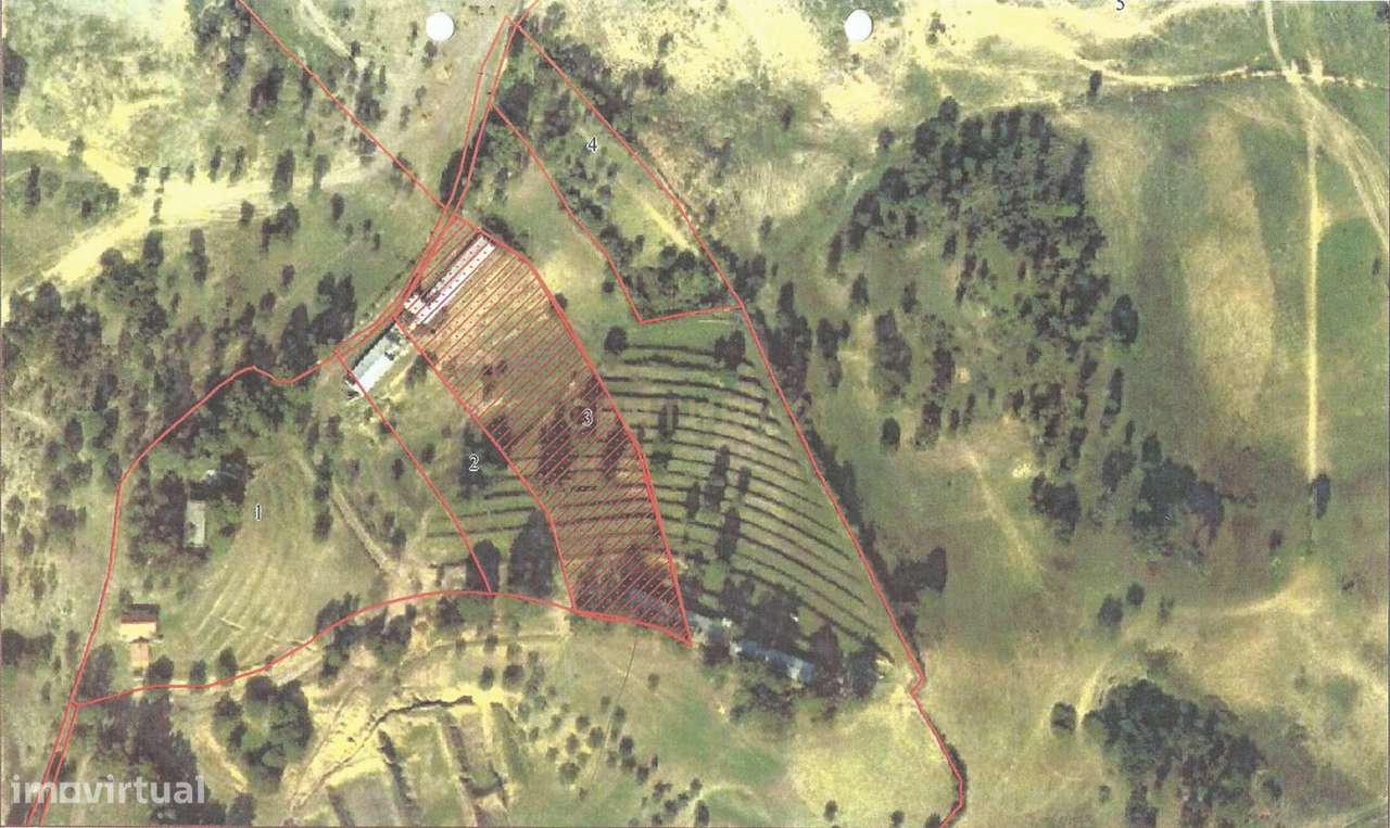 Azambuja | Terrenos vendidos em conjunto com 124.520m2 | Vistas sobre - Grande imagem: 4/10