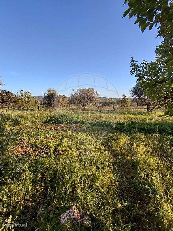 Moradia T6 para venda-29