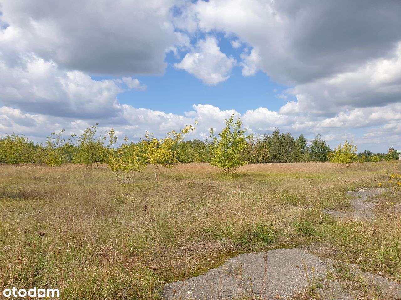 Zabudowa wielorodzinna + usługi _ MPZP "4MW/U"-12