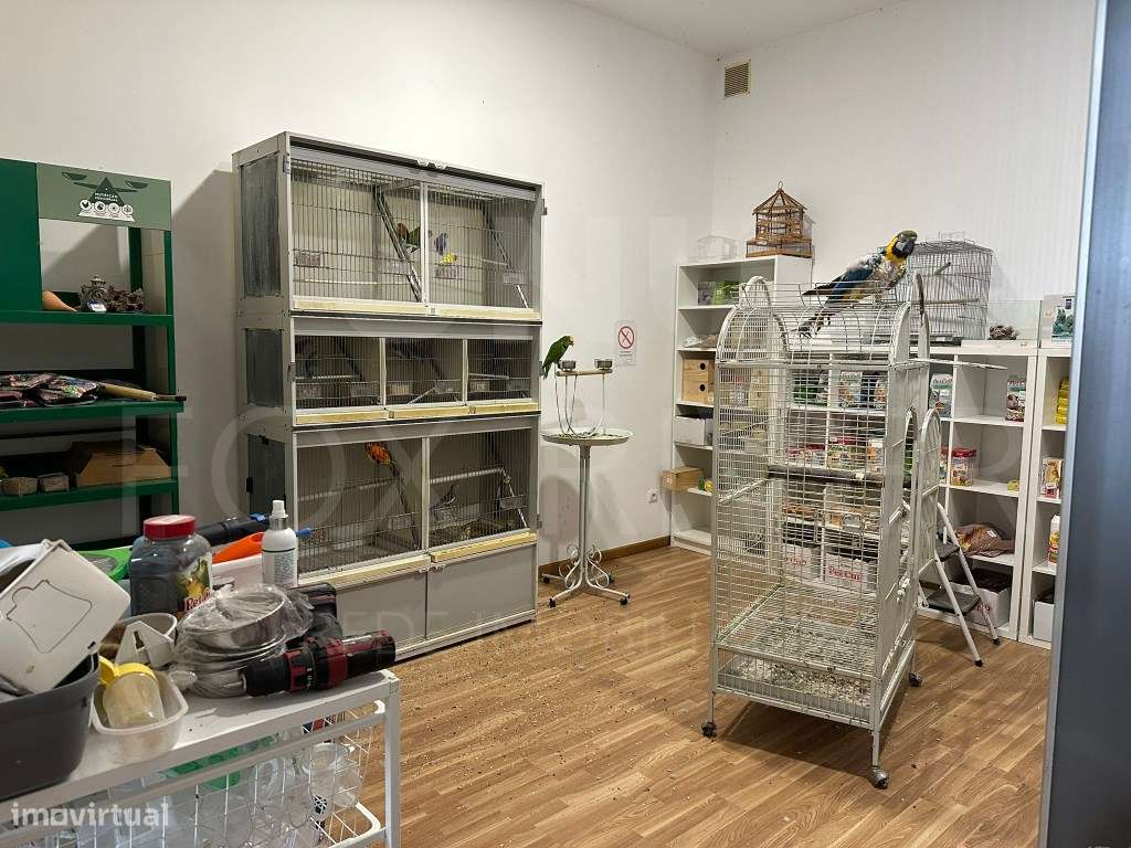 Trespasse PetShop, Centro de Monção - Grande imagem: 5/12