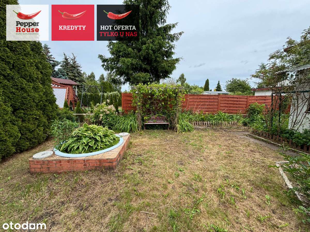 Działka rekreacyjna Rod Al. Śluzowa -Lisi Ogon - Pełny obrazek: 5/13