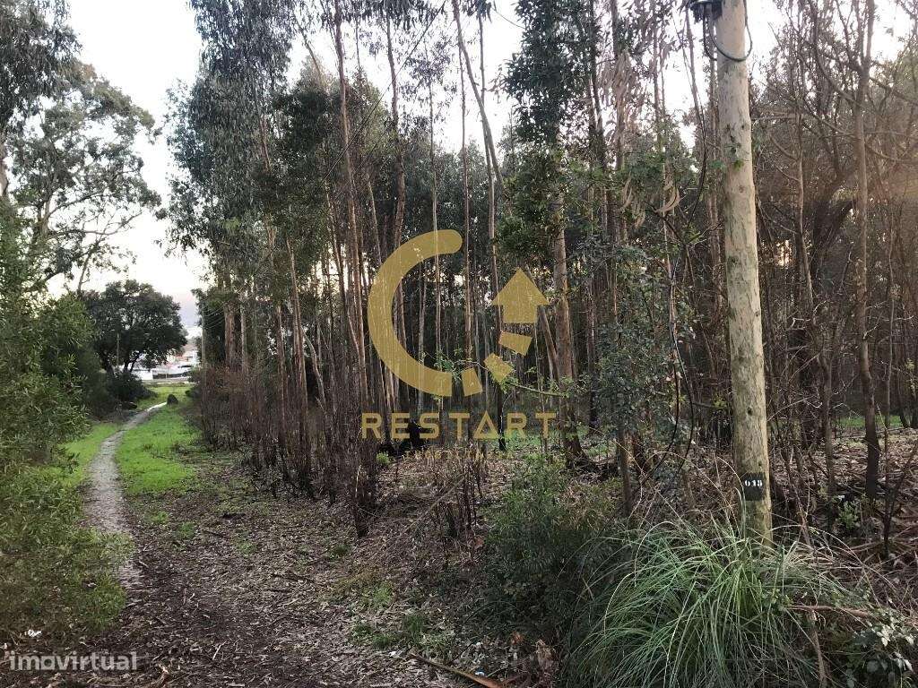 Terreno com área total de 2990m2 Valongo - Grande imagem: 3/12