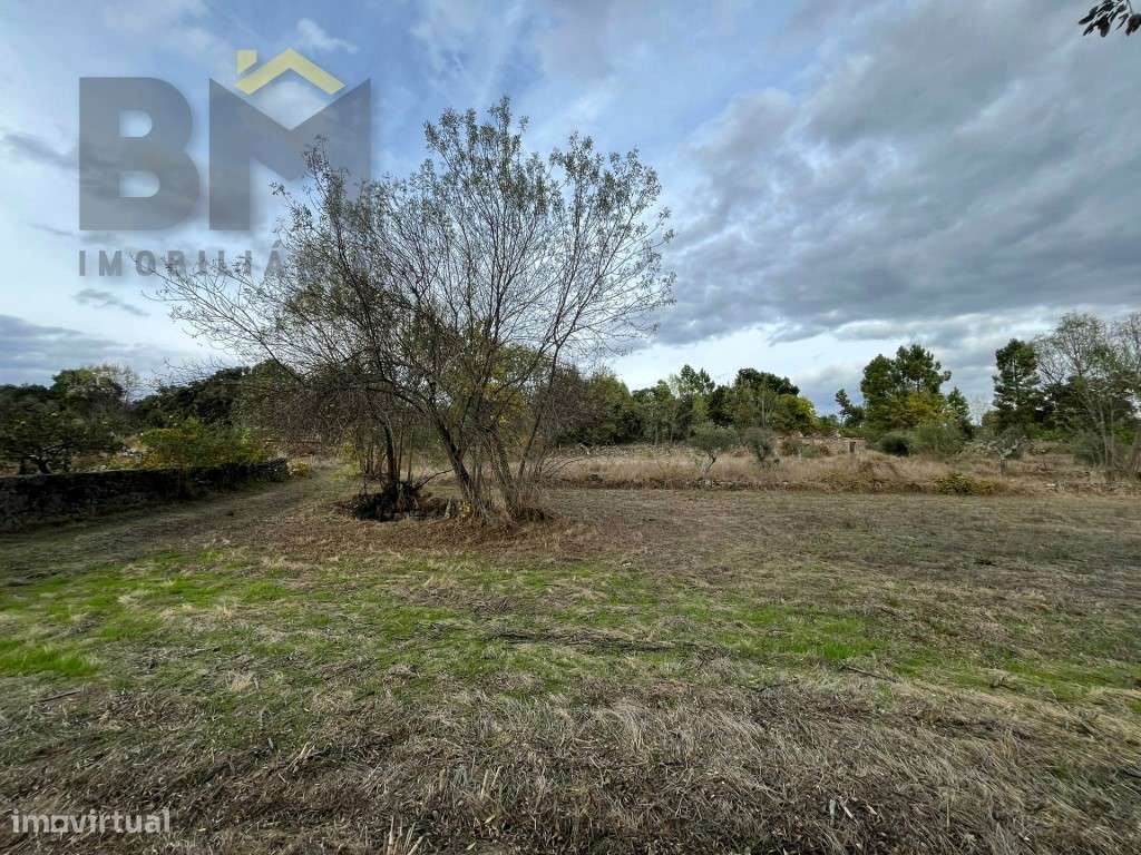 Quinta com 3.250m2 para venda na Póvoa de Rio de Moinhos! - Grande imagem: 5/10