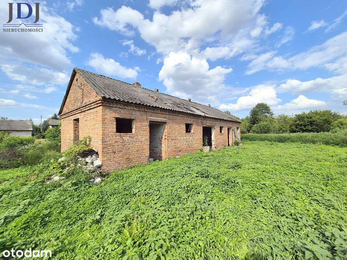 Okazja! Siedlisko blisko miasta.Moroczyn - Pełny obrazek: 4/15