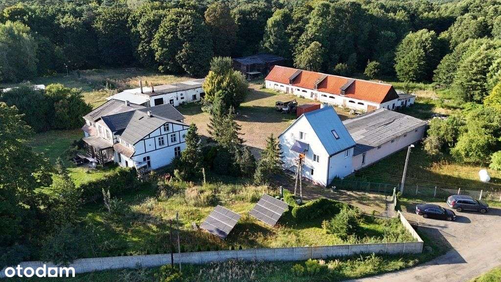 Lokal użytkowy, 1 240 m², Sierakowo - Pełny obrazek: 1/20