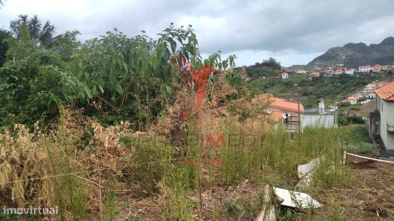 Terreno para construção , localizado em Porto da Cruz - Grande imagem: 5/6