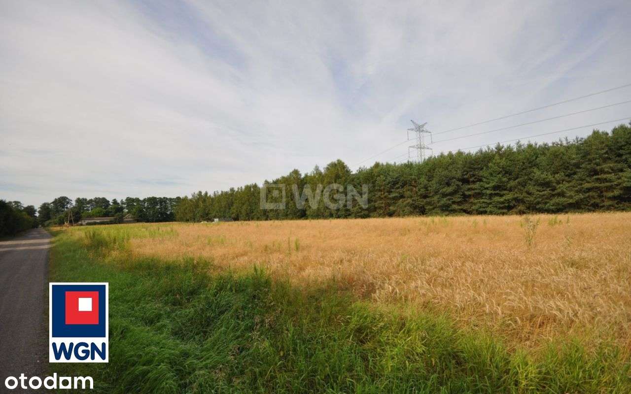 Działka, 3 032 m², Dobryszyce-8