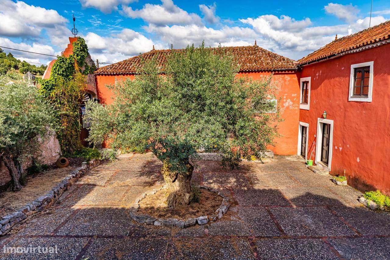 Quinta em Gondemaria em Ourém - Oportunidade Única-51