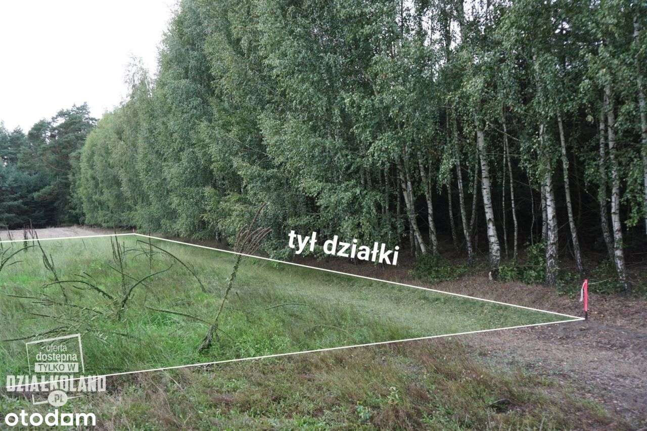 Dz. budowlana 4060 m², Skęczno (Kol. Piła), Zadzim-10