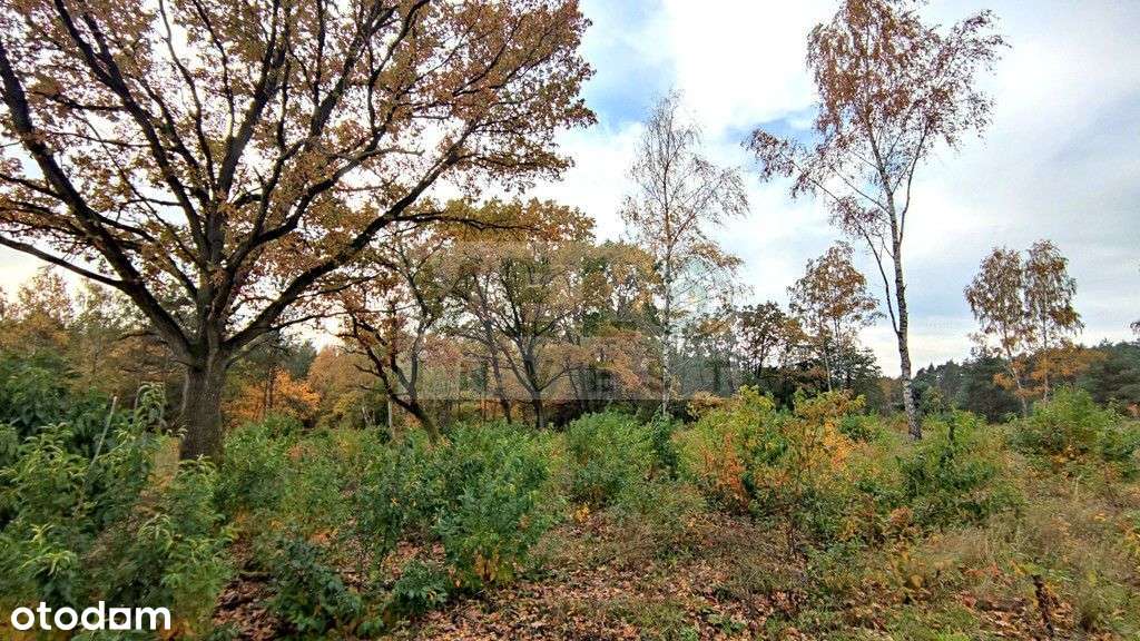 Radzyny - działka budowlana pod lasem-1