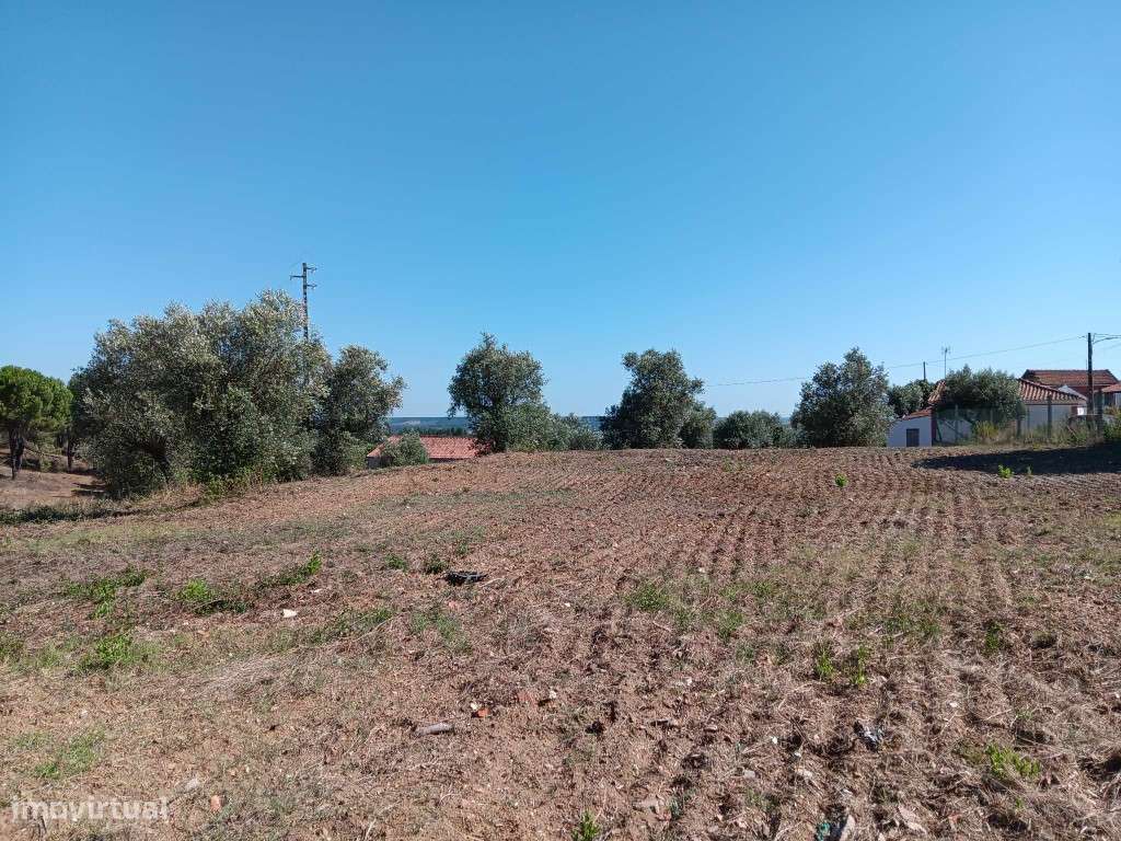 Terreno de 6.211m2, situado Roda Grande , Tomar - Grande imagem: 5/14