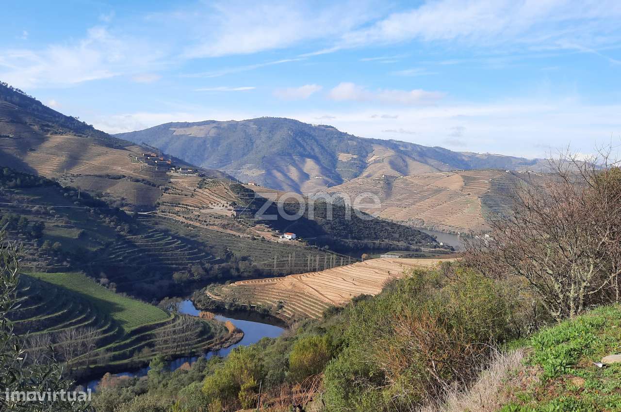 QUINTA EM SANTA LEOCÁDIA, TABUAÇO - Grande imagem: 2/44