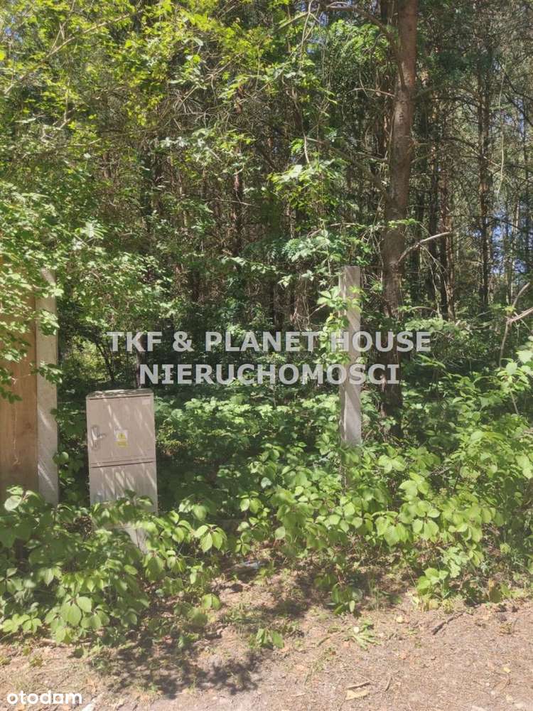 Działka Na Sprzedaż 3100M2 W Miedznej Murowanej - Pełny obrazek: 4/5