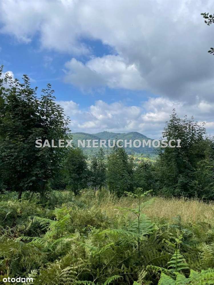 Działka w Brennej - Pełny obrazek: 2/6