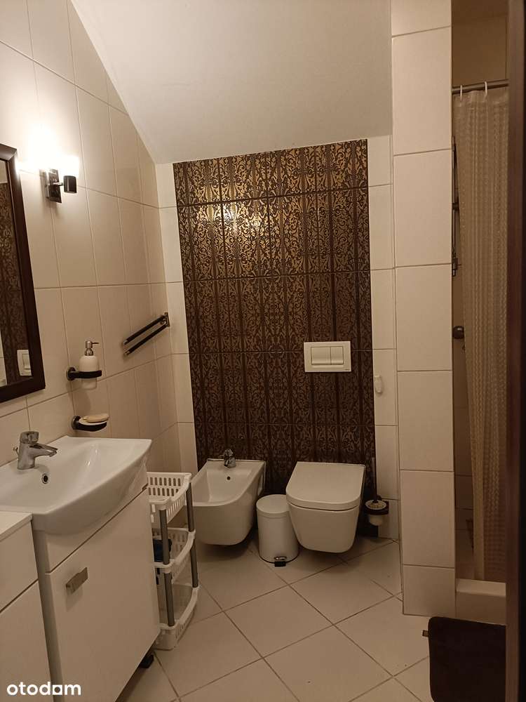 Dom, 290 m², Bidziny-3