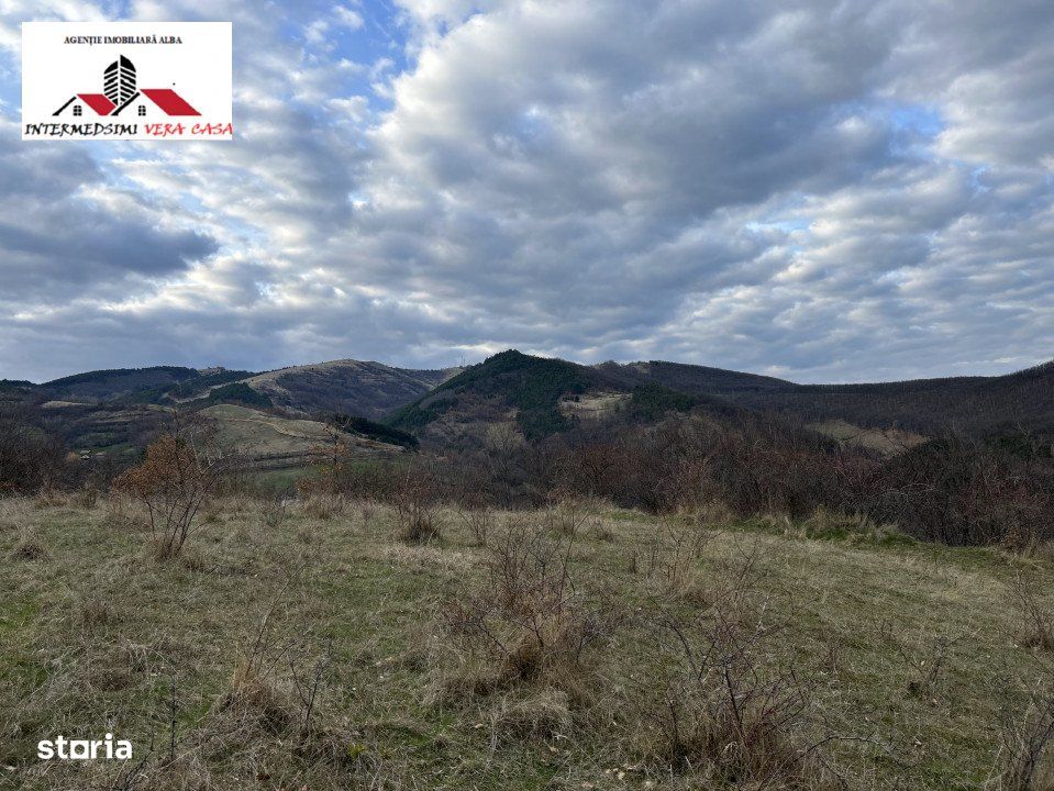 Teren extravilan 20750 mp de vanzare Inuri - Vintu de Jos Jud  Alba