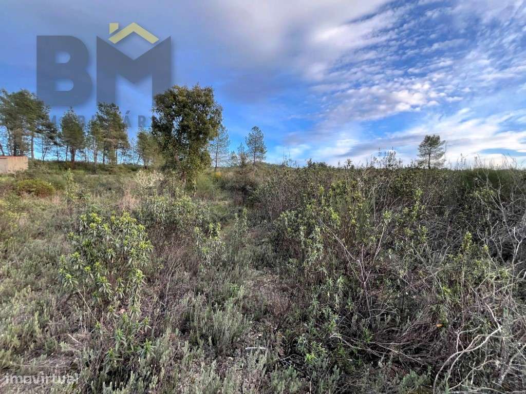 Terreno rústico com cerca de 4.120m2 para venda no Freixial do Campo! - Grande imagem: 5/12