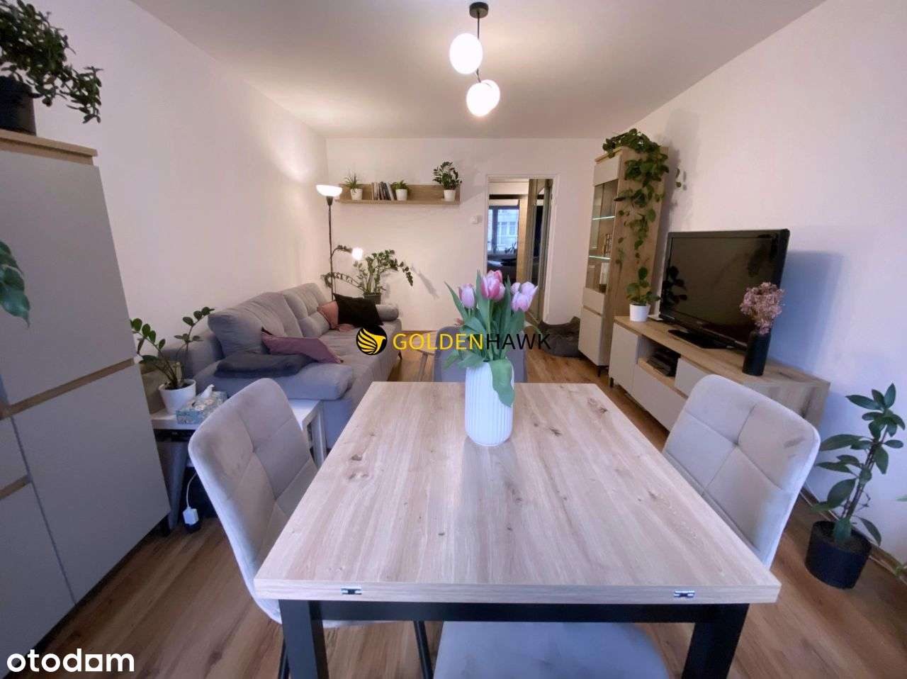 2 pokoje 47 m² z nową kuchnią - Niemcewicza Szczec - Pełny obrazek: 4/18