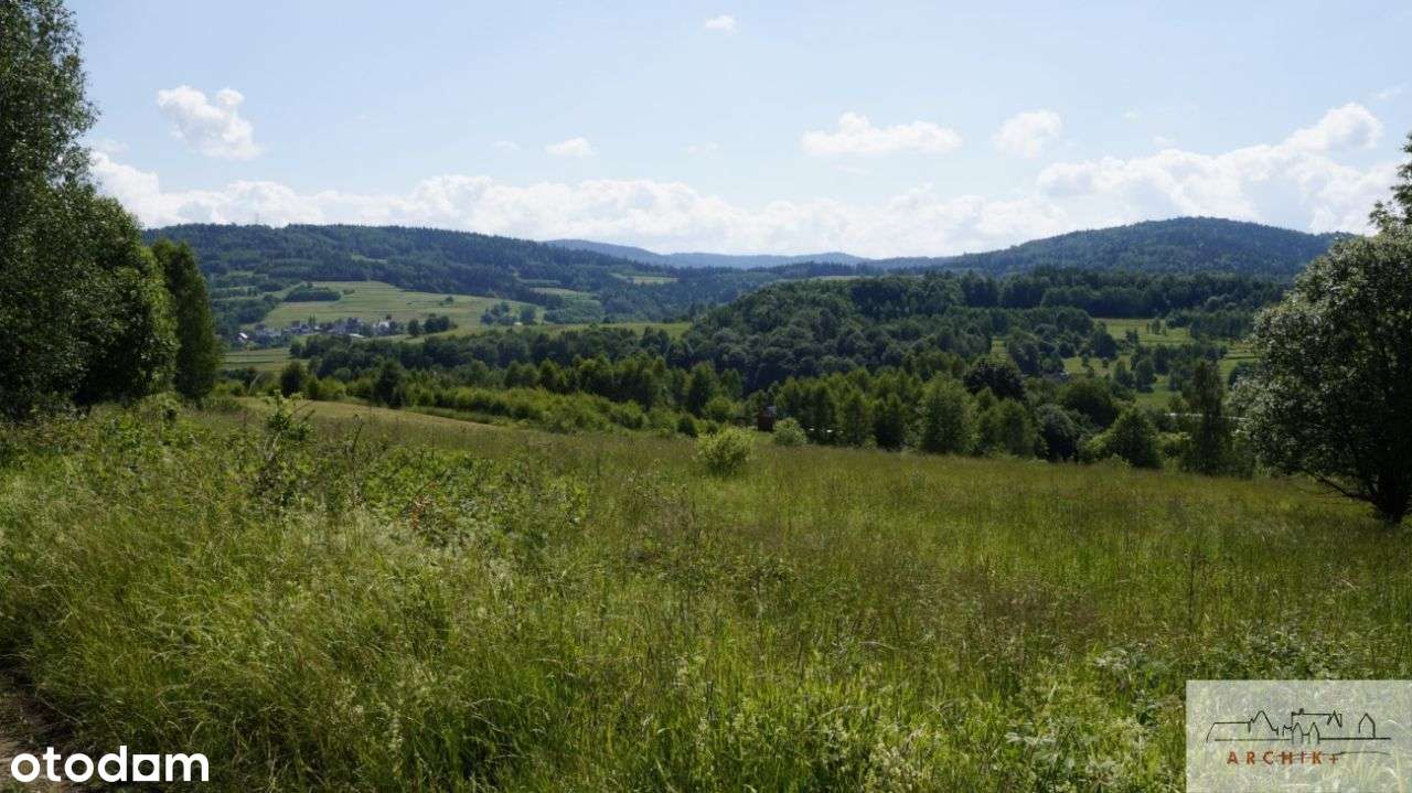 Działka budowlana z widokiem, 31 ar OKAZJA - Pełny obrazek: 5/6