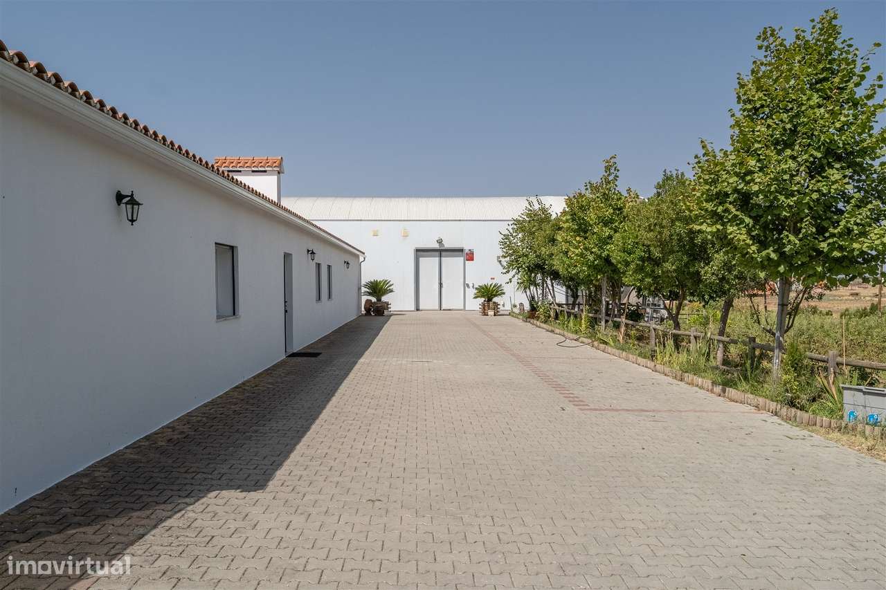 Quinta Biológica - Monte de Palma em Sao Manços com negócio.-31