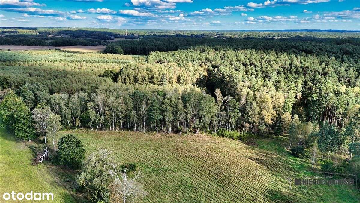 Pod Lasem Ok. 300 M Od Jeziora Pile - Dąbrowica --9