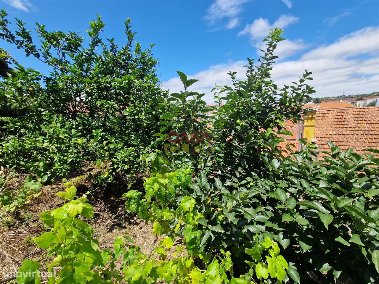 Moradia T2 Venda em Torres Novas (Santa Maria, Salvador e Santiago),To-31