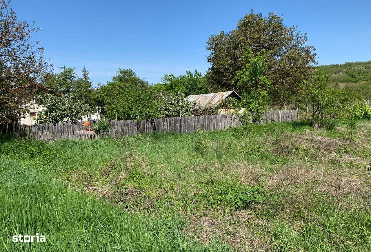 59.900 e Teren TOMESTI-OSOI la DN 2600 mp intravilan asfalt utilitati - Imagine principală: 3/9