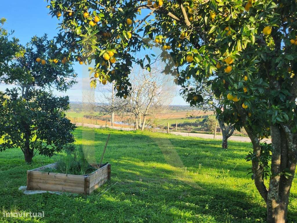 Moradia T3 transformada em T2 com Garagem, inserida num terreno de ...-23