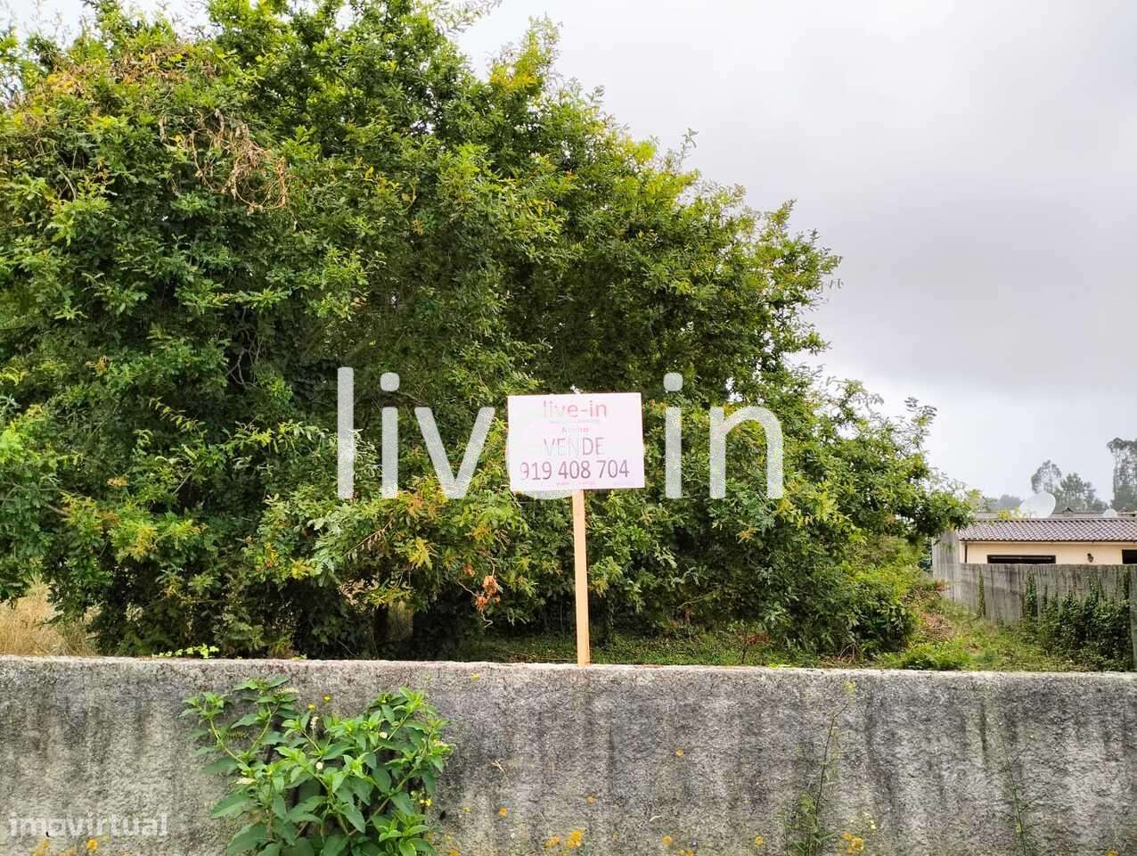Terreno urbano para construção em Cacia-2