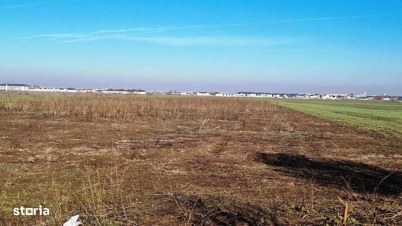 Magurele Atomistilor 5000mp - Imagine principală: 4/6