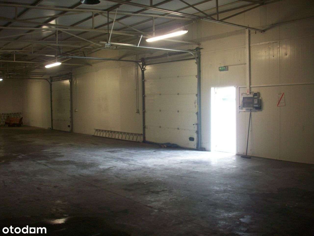 do wynajęcia 170m2 magazyn + biuro, hala lokal Kalisz wrocławska Amber - Pełny obrazek: 4/7