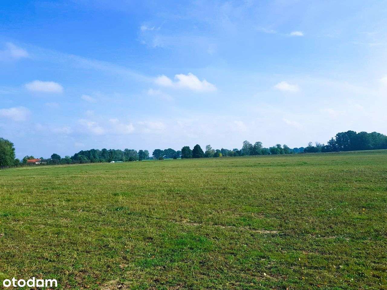 Działki budowlane - Glinka - Pełny obrazek: 4/9