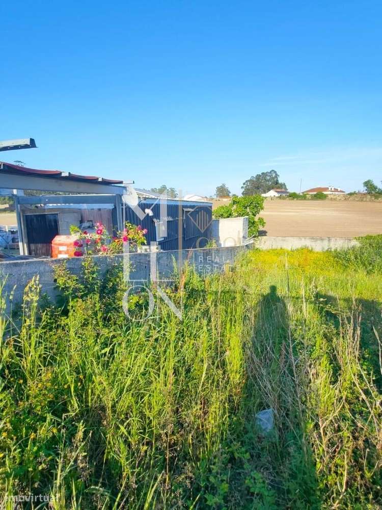 Oportunidade Única para Construir a Casa dos Seus Sonhos! - Grande imagem: 3/14