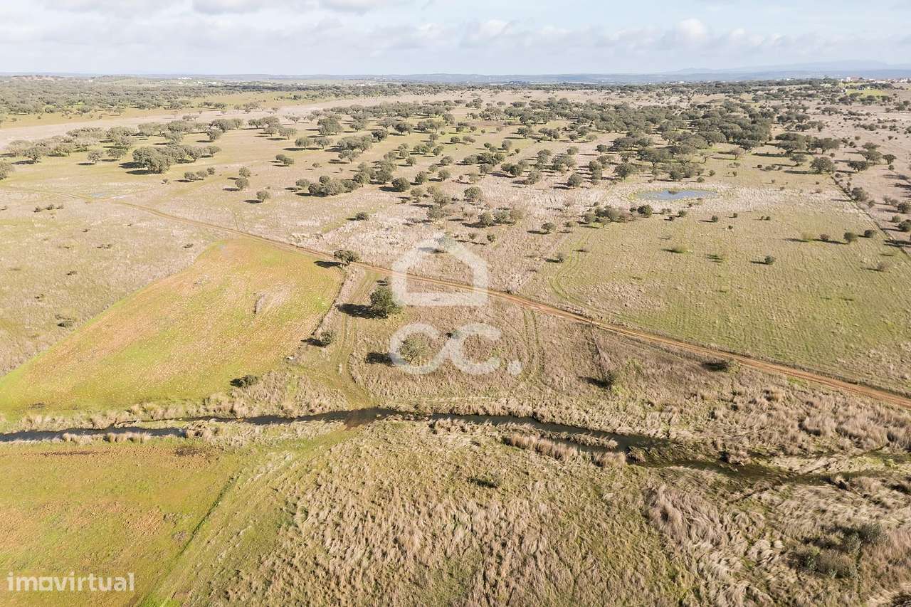 Terreno de 5,4 ha c/ Viabilidade de Construção | Capelins, Alandroal-20