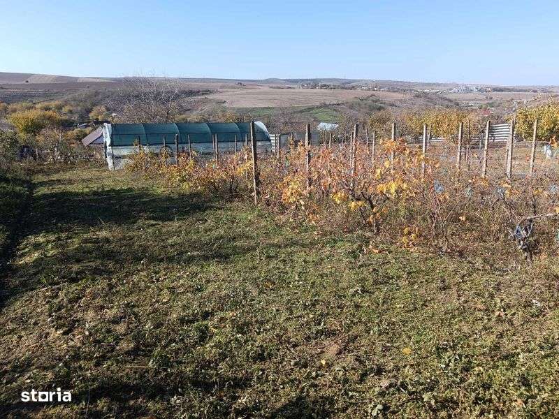 Teren intravilan sat Malcoci, com. Nufaru, jud. Tulcea - Imagine principală: 4/8