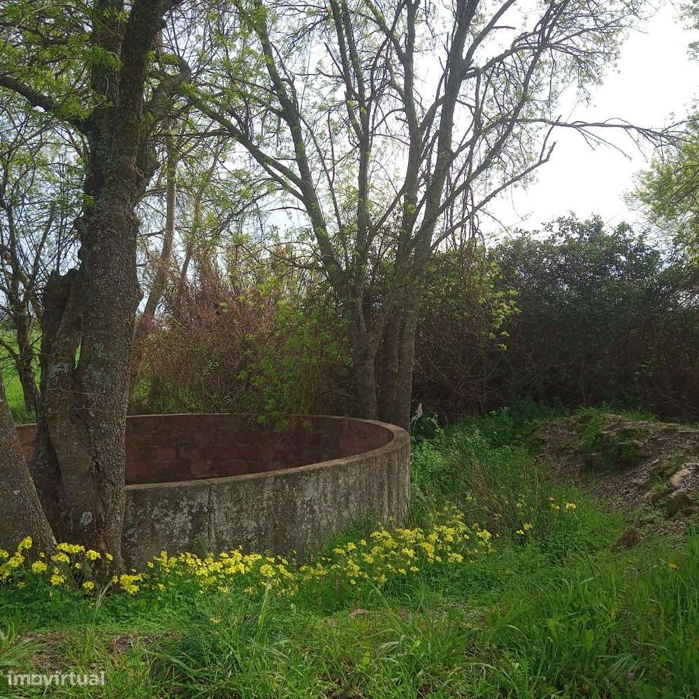 Monte Alentejano junto a Mourão-10